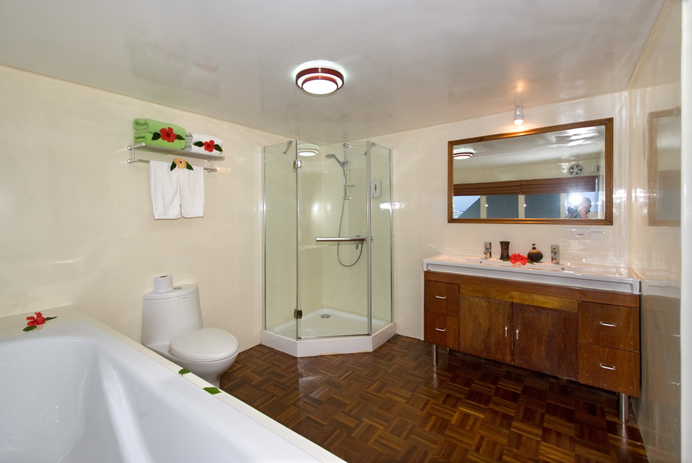 Top 12 Excellent Upper Deck Toilet Cute Homes